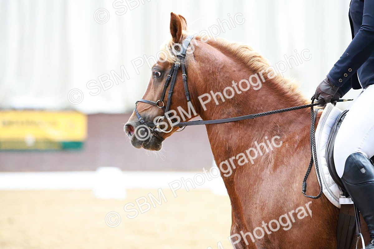 SBM_011522 - Prelim 5 - 13.05-14.01