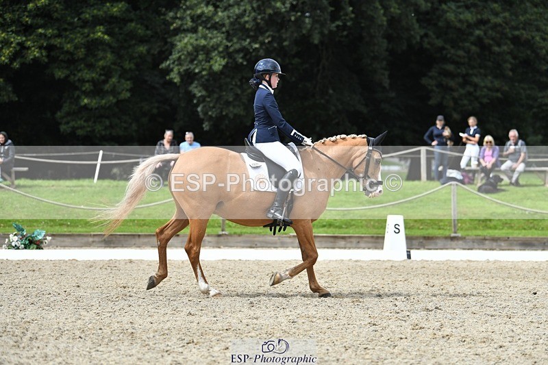 230812-123832-04166 - Cls 6 Novice Silver 12.10 to End