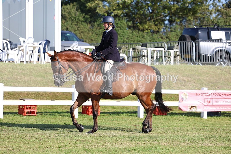 3E7A5368 - Class 2: Rising Star Large Hack/Riding Horse