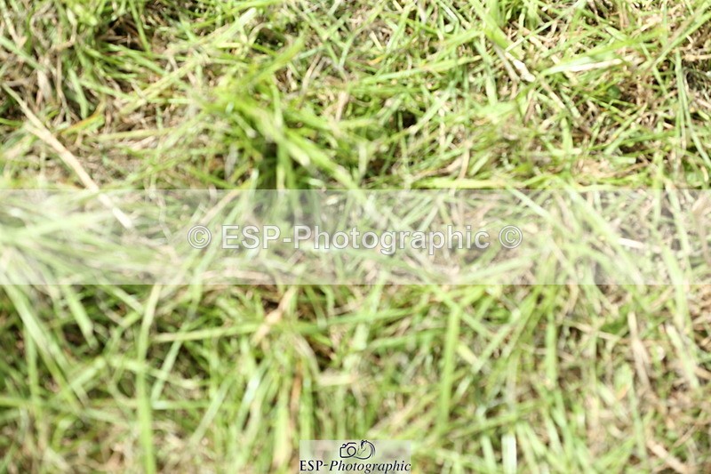 230820A-134201-00285 - Cls 2 Discovery & Open