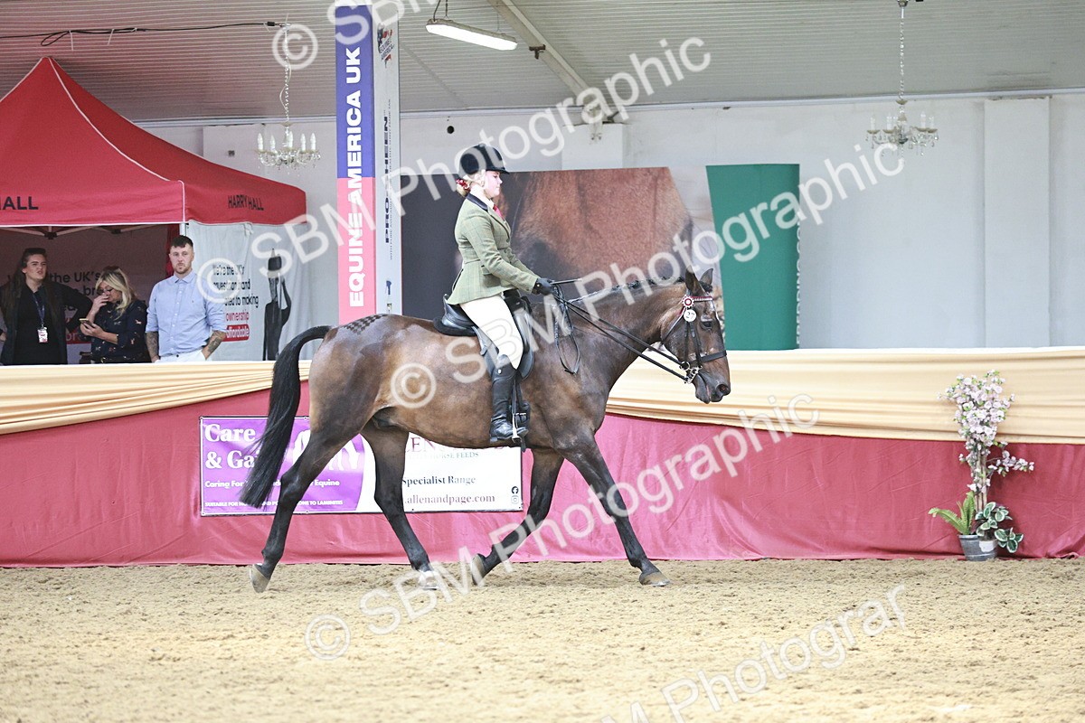 SBM_07252 - Class 10R - Regional Ridden Diamond