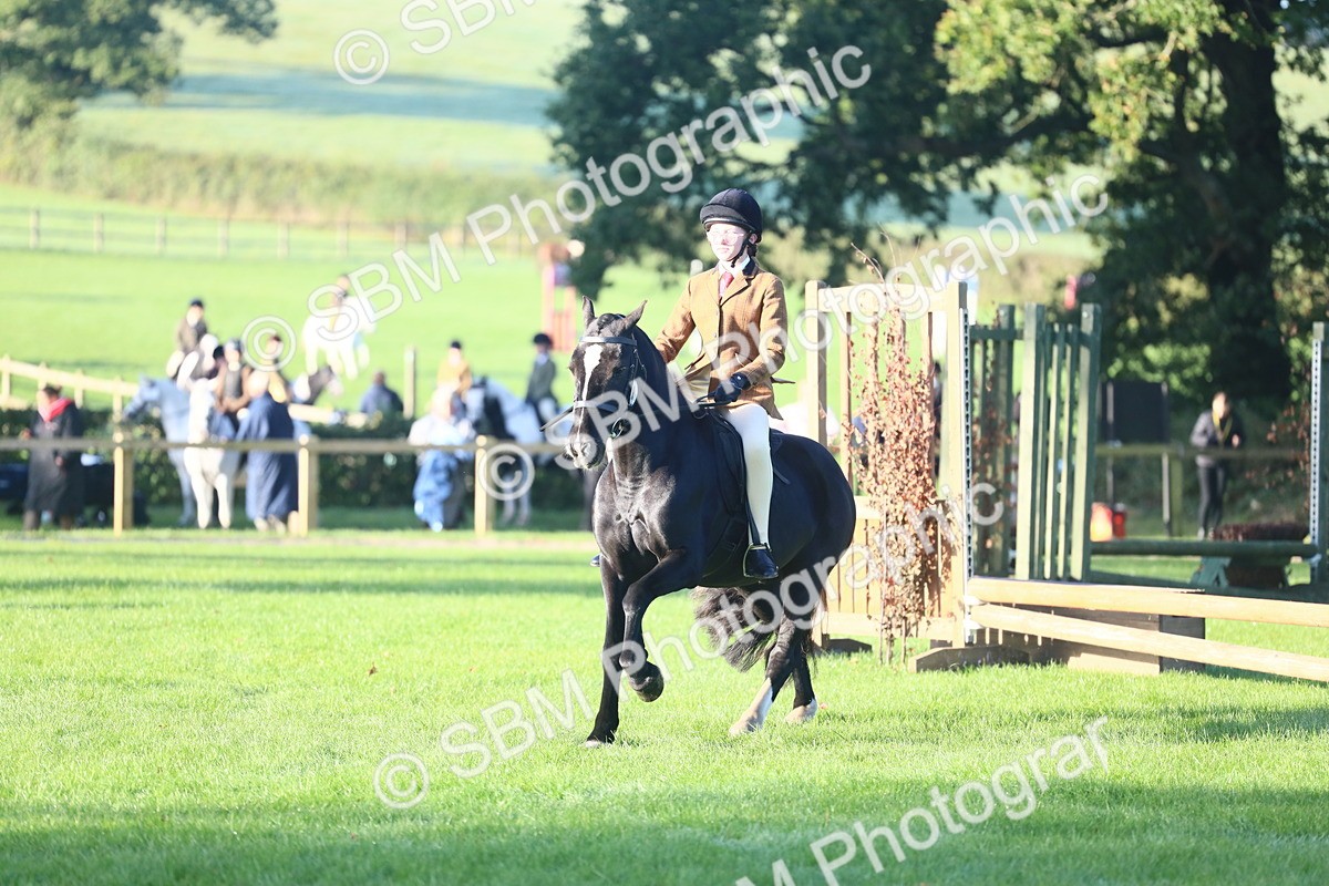 SBM_37335 - S29 - Novice & Newcomers Working Hunter Pony