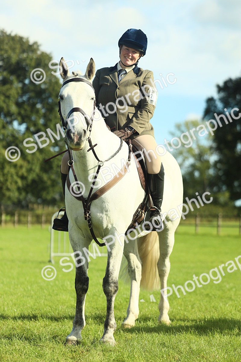SBM_49897 - S32 - Novice & Newcomers Working Hunter