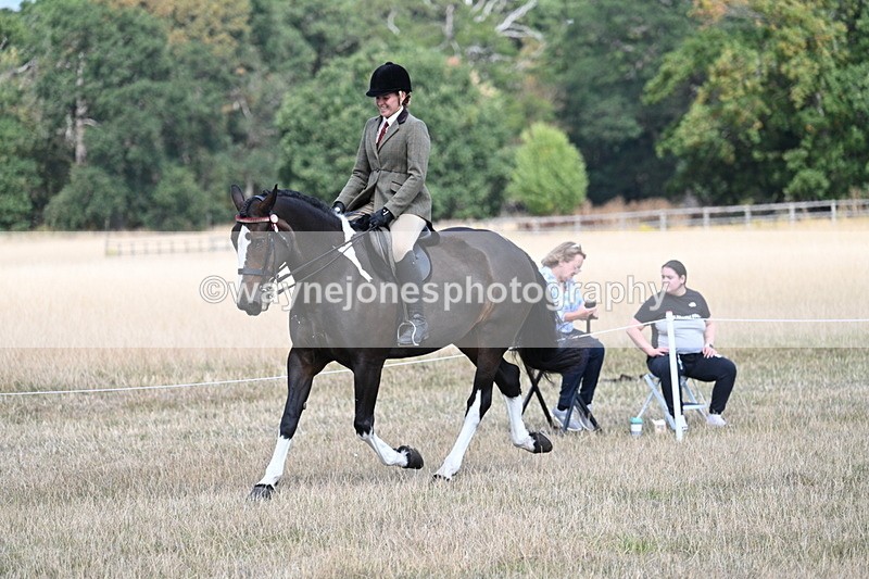 WJ7_6066 - Class 13 Ridden Veterans