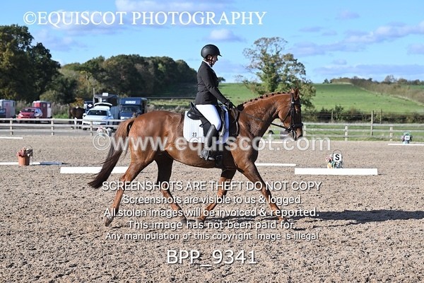 BPP_9341 - LONG ARENA