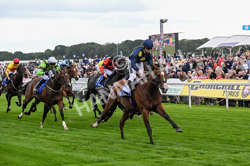 130626-Race 2-Extremely Zain-0392 - Race 2 14.25pm Sky Bet Supporting Macmillan Handicap