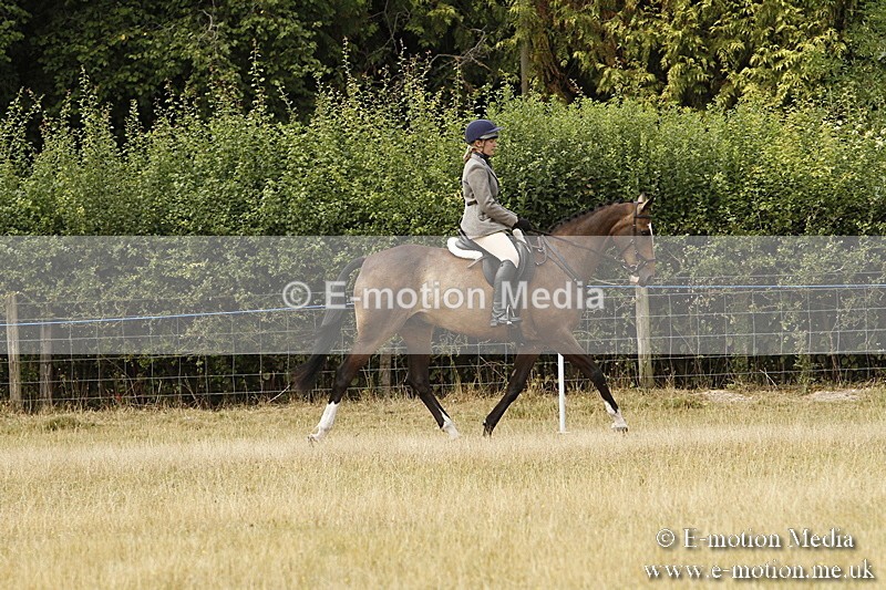 _BS_0636 - BVRC Show 2018 Ring 3