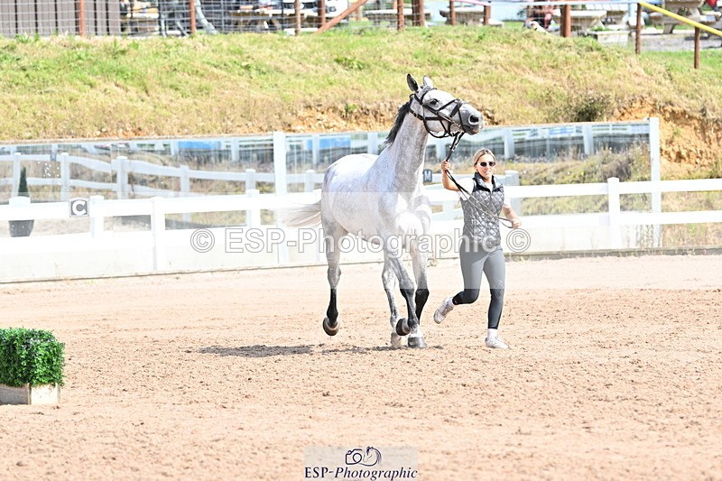 240717A-155915-03240 - Trot Up 3pm to 4pm