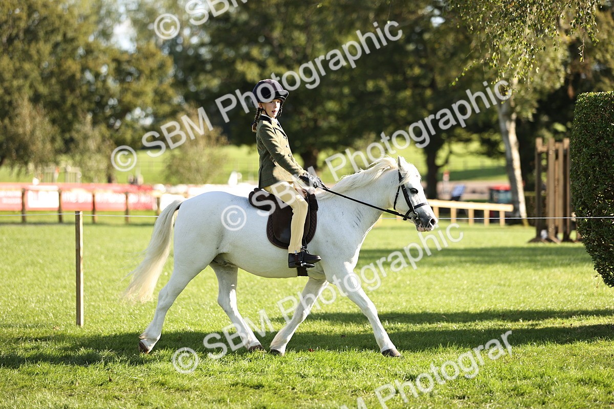 SBM_29342 - S7 - Novice & Newcomers Ridden Pony