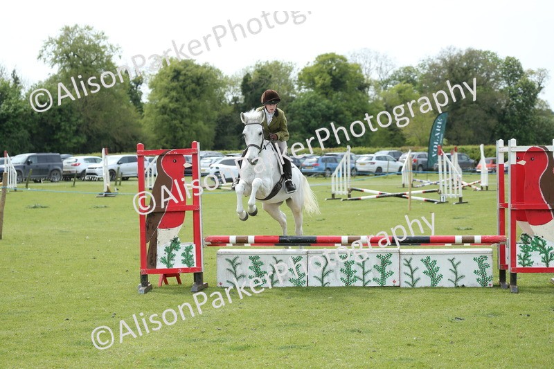 20260426-2092 - Class 15 - Absolute Novice 70cm