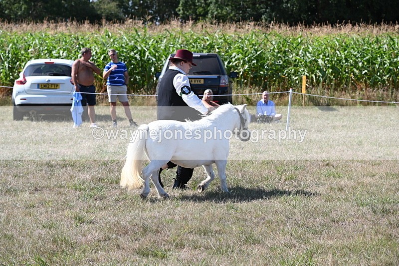 WJ6_4800 - Class 17 Mountain & Moorland