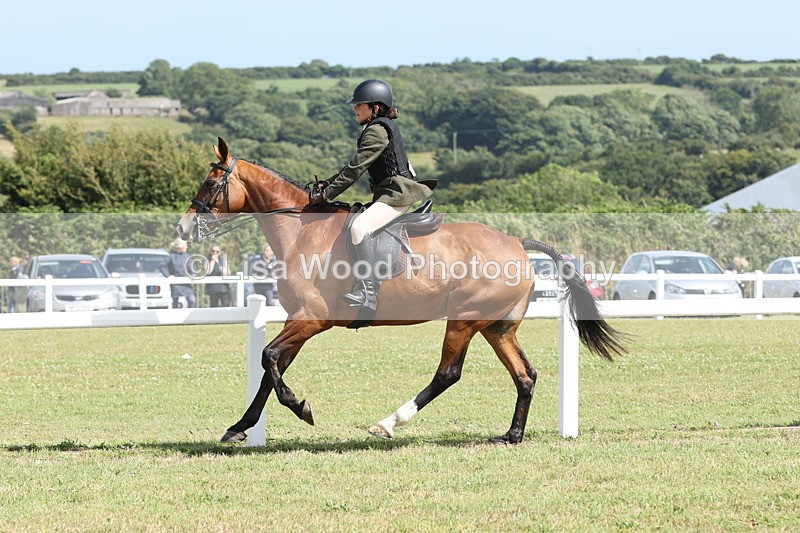 JPP_2326 - Class 19: Working Hunter 60cm