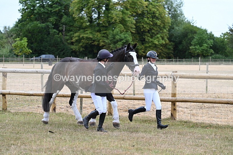 WJ7_8929 - Class 4a Prettiest Mare 14.2hh and over