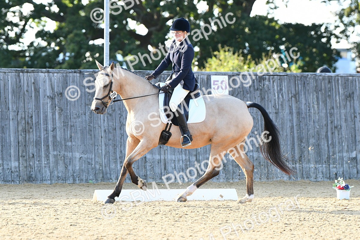 SBM_28502 - D16 - Small Tour Championship - Novice 28