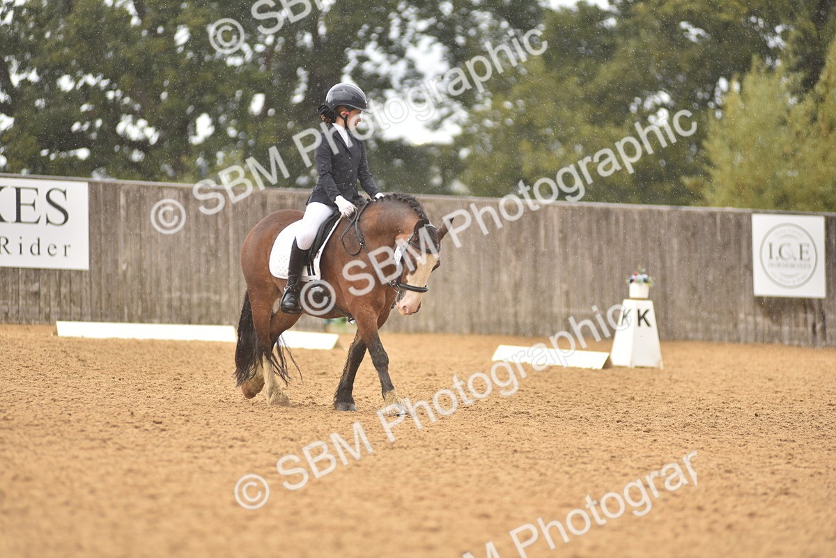 SBM_42500 - D22 - Junior Championship Intro 3