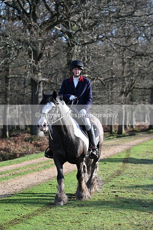 WJ7_7831 - Line 3 (no line 4 or 5)