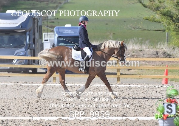 BPP_9959 - TEAM QUEST PRELIM 3