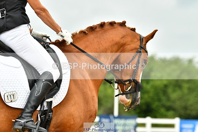 230701A-105733-05137 - Cls 5 Novice 37A