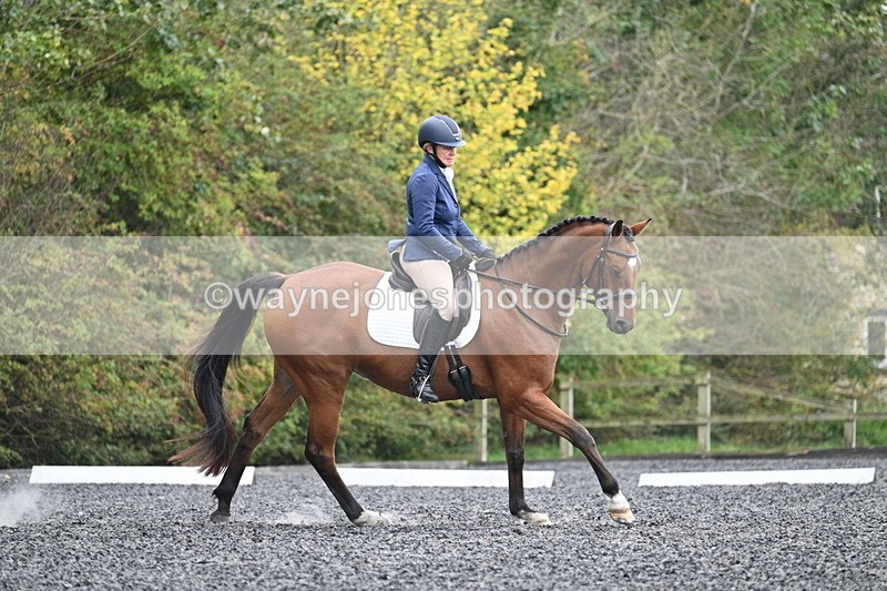 WJ7_4380 - Time 11:43 to 12:09