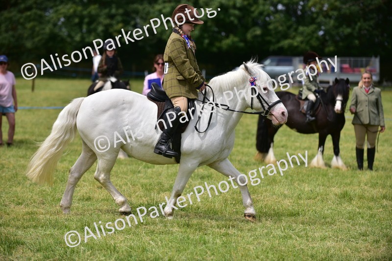 20260614-3660 - Class 15 - Prettiest Mare