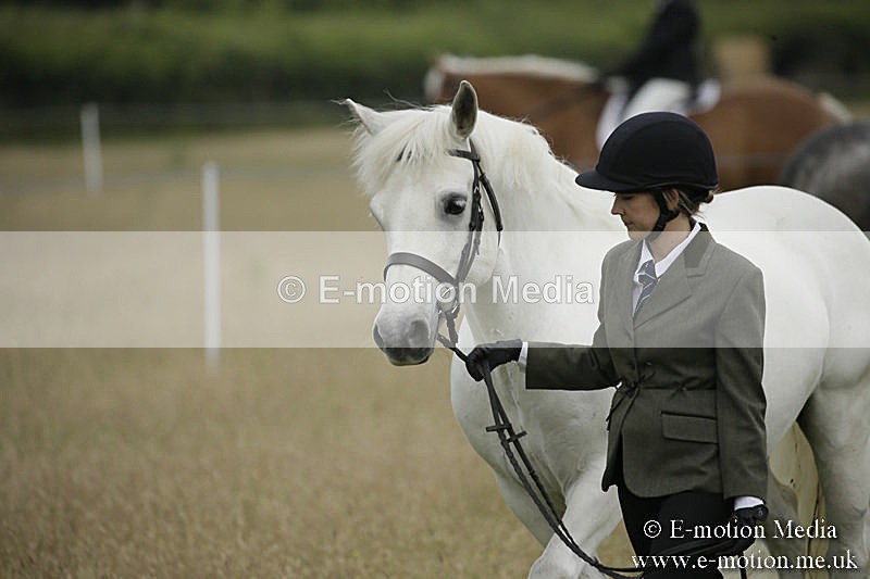 B230619-0118 - Bourne Valley Riding Club Summer Show 23/06/19