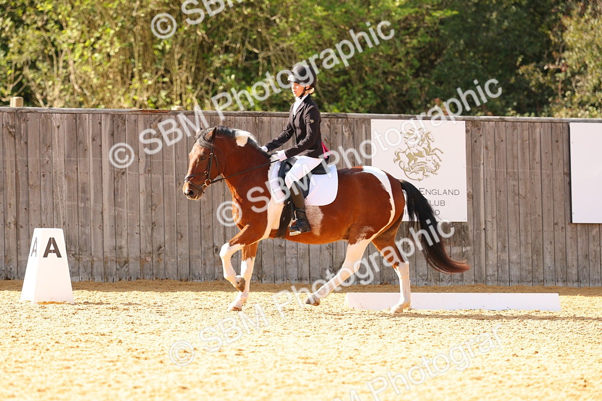 SBM_48429 - D6 - Small Tour Championship - Intro C
