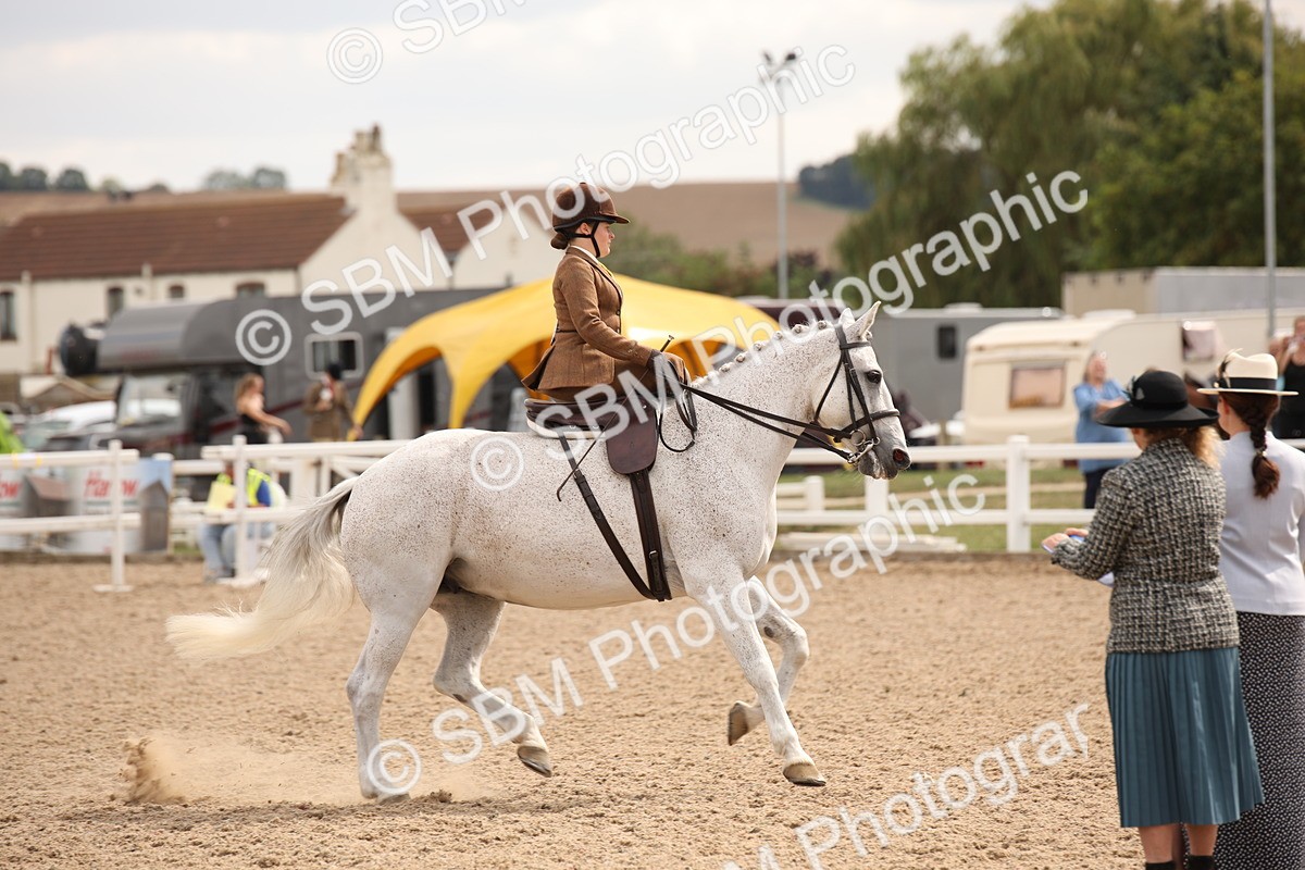 SBM_05422 - Class 22 SSA Equitation