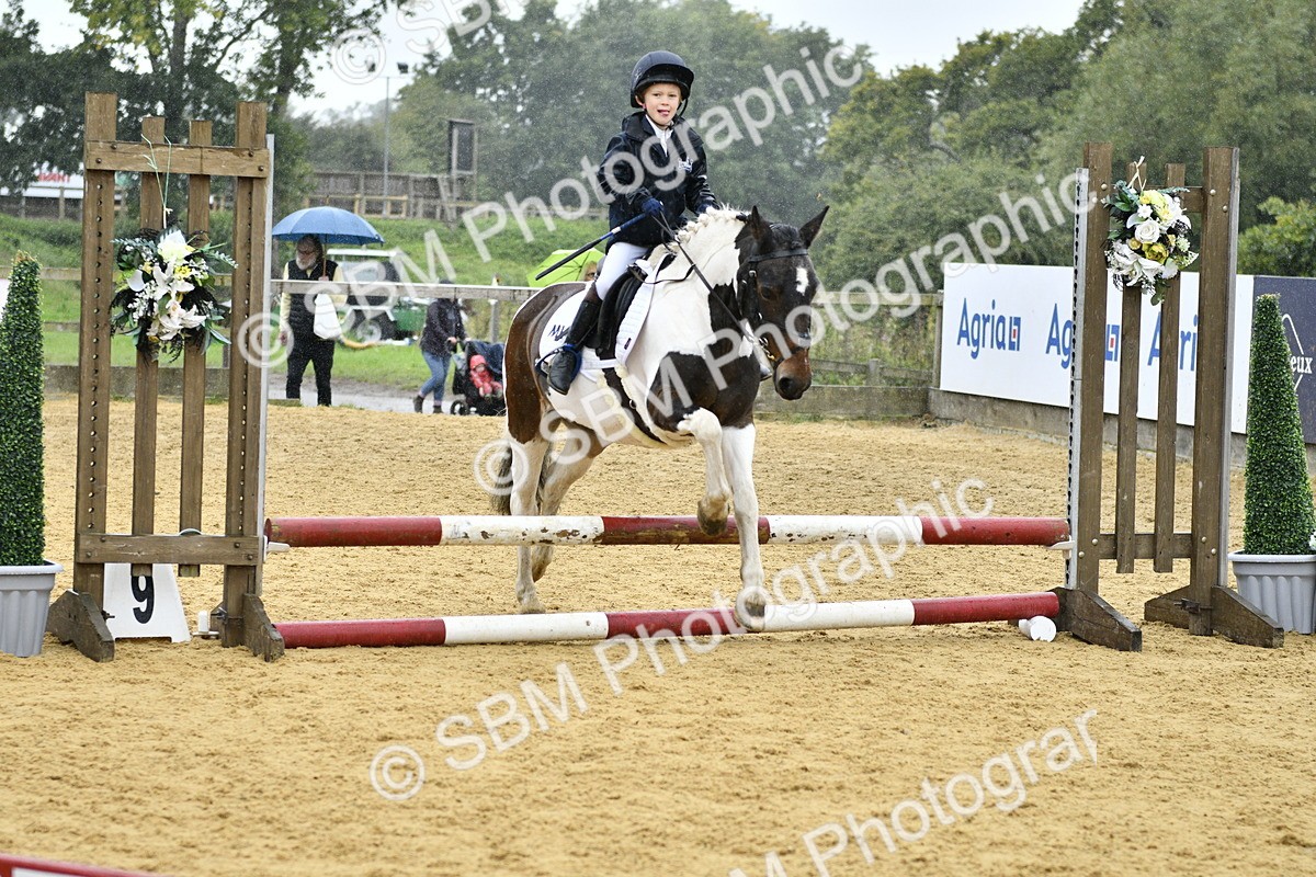 SBM_70793 - J3 - Mini Tour Junior Pony 40cm championship