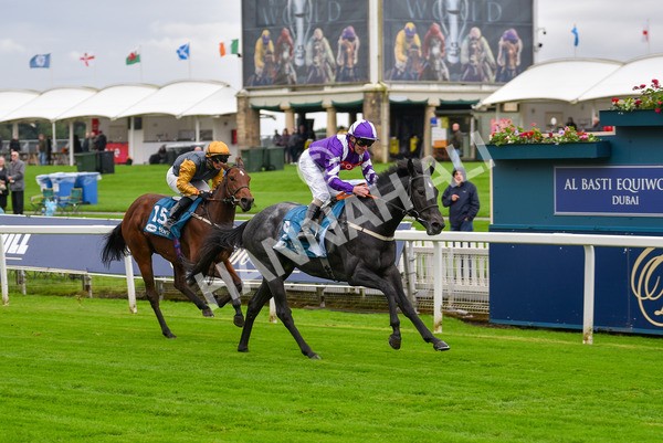 131023-Race 1-Pilgrim-9052 - Race 1 2.05pm William Hill EBF Novice Stakes