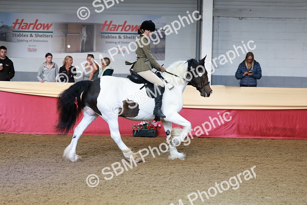 SBM_11959 - Class 102 - Equitation (Best Rider) Adult