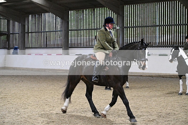 WJ7_3951 - Class 17 Ridden Cob