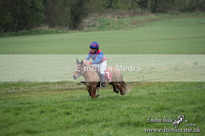 SHETPR 210425 91 - Shetland Ponies Paxford Races 21/04/25