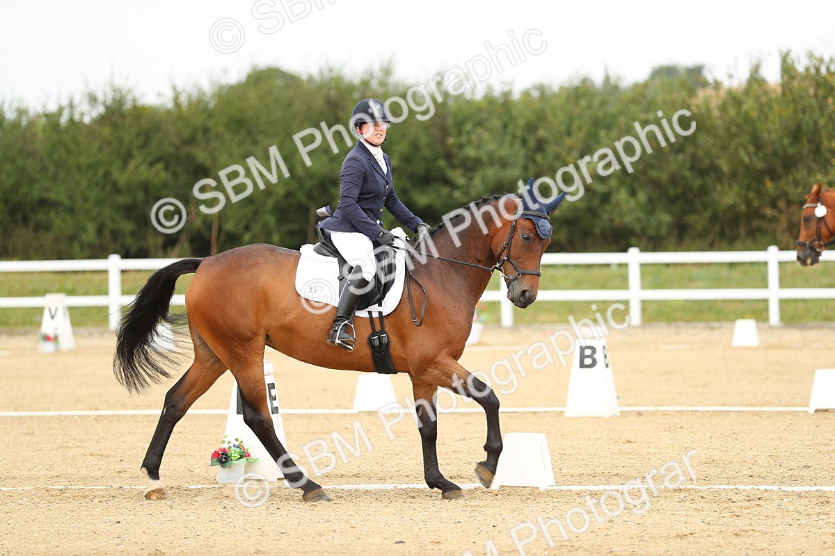 SBM_017339 - Class 13 - Novice 23 - 13.31-14.13