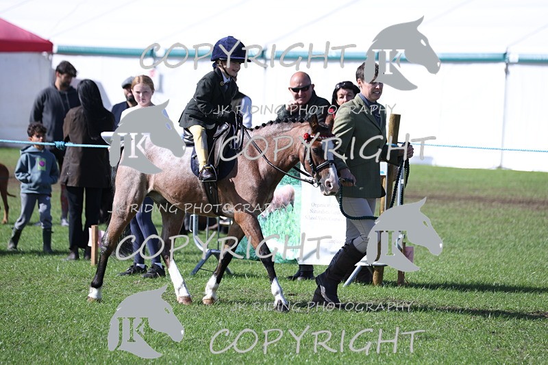 APP_3835 - Class 13 Lead rein