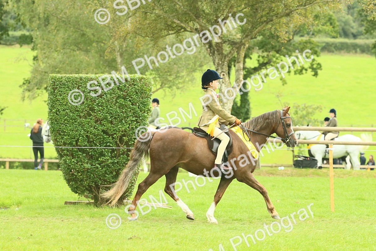 SBM_74983 - Ridden Pony Supreme Championship