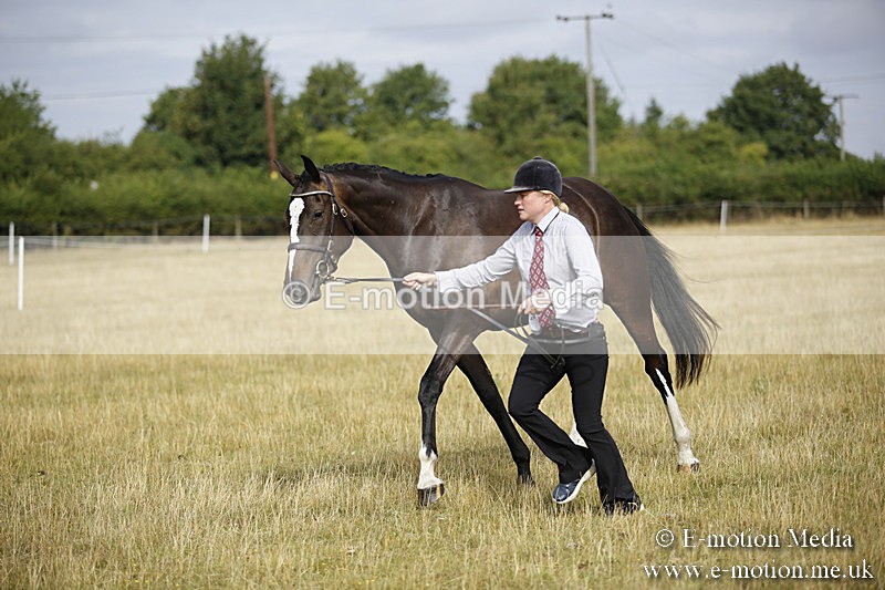 _C7A9126 - BVRC Sow 2018 Ring 2