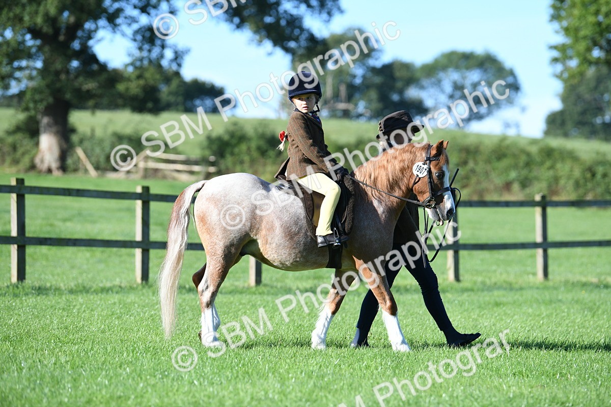 SBM_35282 - S17 - Condition & Turnout - Lead Rein