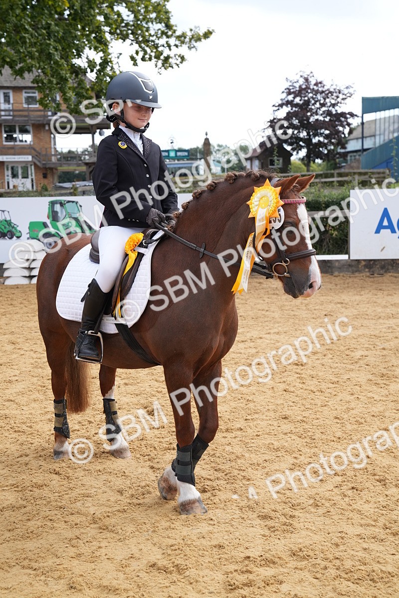 SBM_64556 - J2 - Mini Tour Junior Pony 30cm Championship