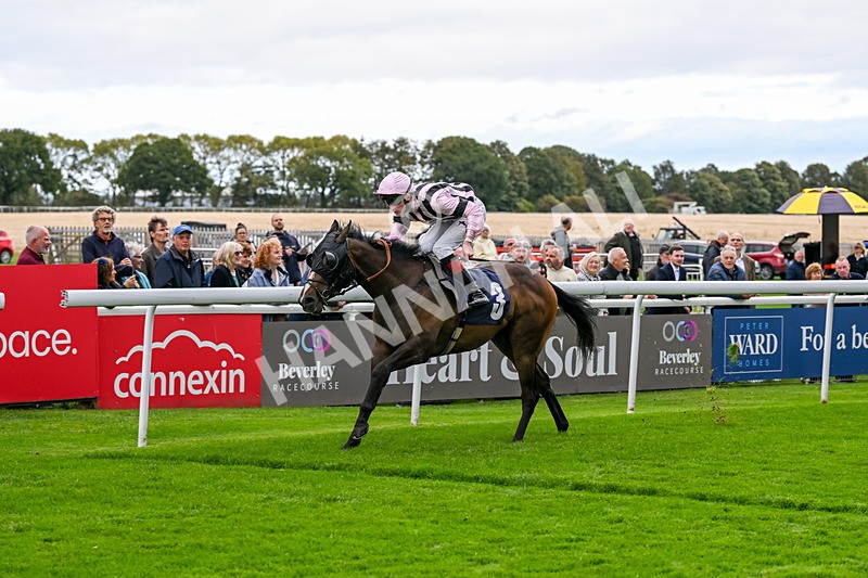 170925-Race 1-Quantum Power-3750 - Race 1