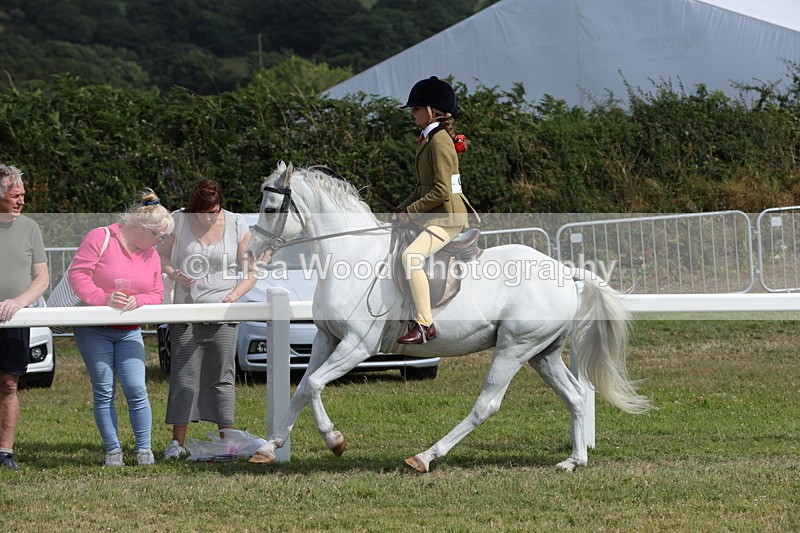 1X9A5727 - Class 40: NPS Welsh A & B
