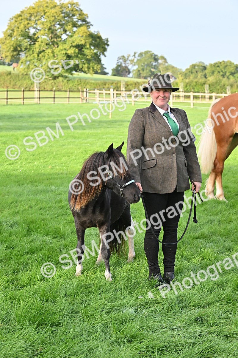 SBM_55357 - S44 - Youngstock In Hand