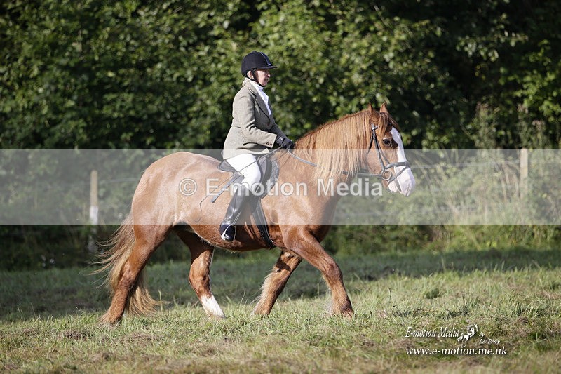 BVRC 120921 45 - Bourne Valley Riding Club UA Dressage & Show Jumping 12/09/21