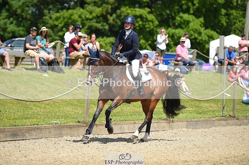 230528-112652-15215 - 379-QUIZICAL_Z-Alice_Hallows-SUNTrotUp+SJ