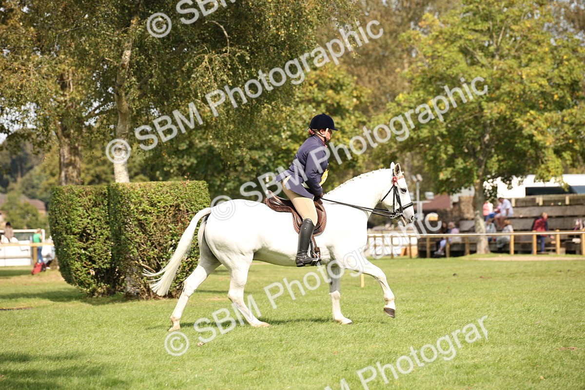SBM_66006 - S64 - Riding Horse & Hack & Thoroughbred Ridden