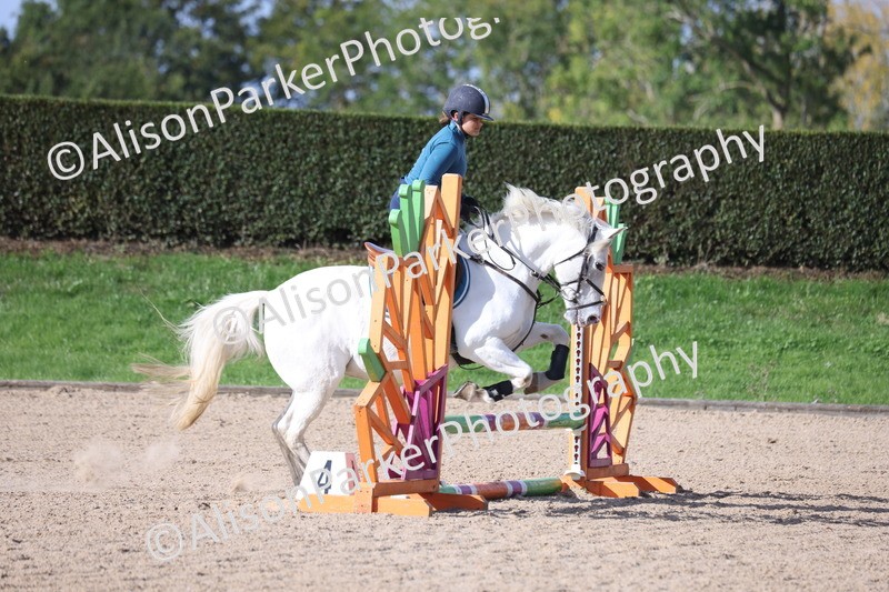 20251005-0322 - Class 3 - 60cm