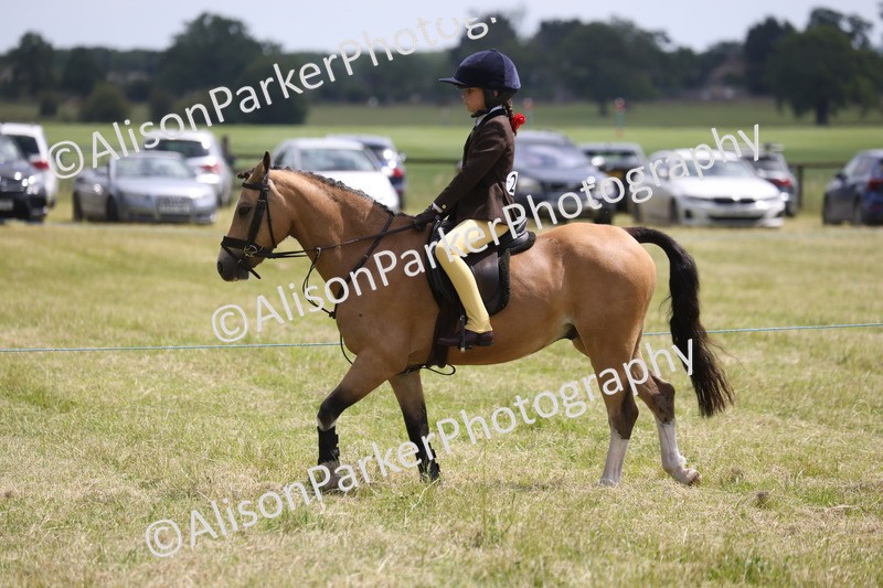 20260614-2130 - Class 21 - Novice Working Hunter Pony