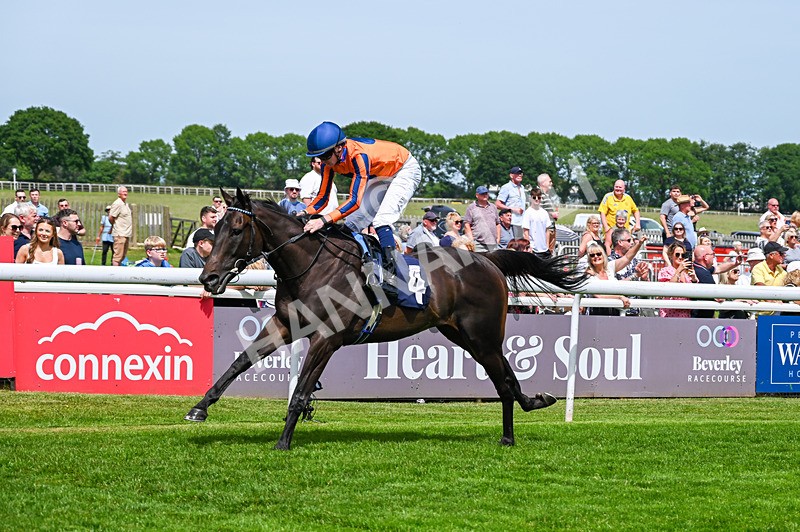 300526-Race 1-Sportingsilvermine-4161 - Race 1 13.45pm Napoleons Casino Hull Handicap