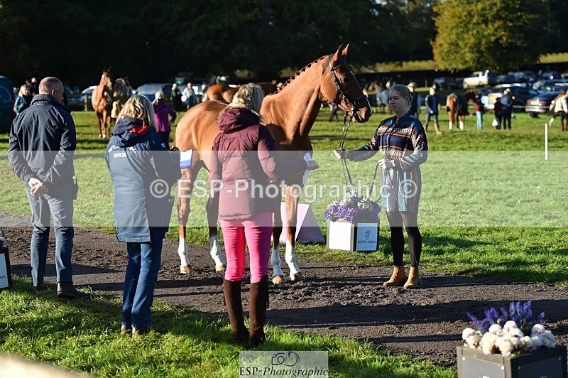 231022-092852-21817 - 686-MOORLAND.MAGIC-Charlotte.Chard-TrotUp+SJ