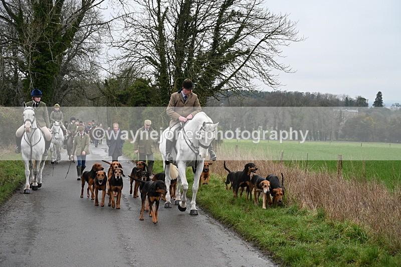 WJ7_9399 - Walk out..