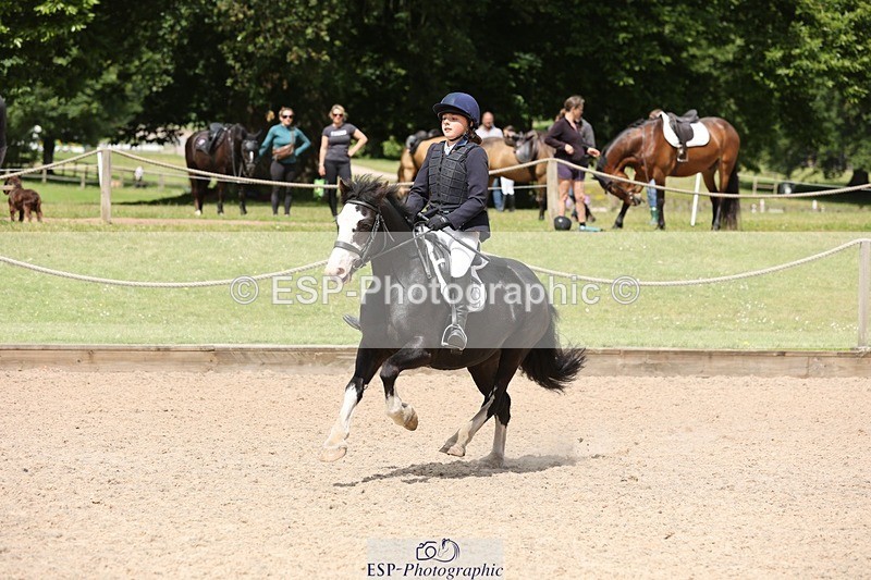 240616-112055-03458 - 60cm